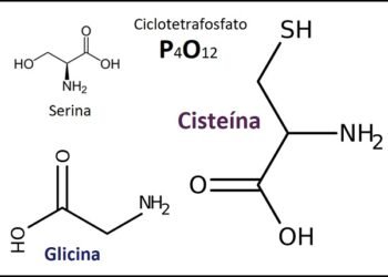 Glicina: O Aminoácido Essencial para a Saúde e Bem-Estar