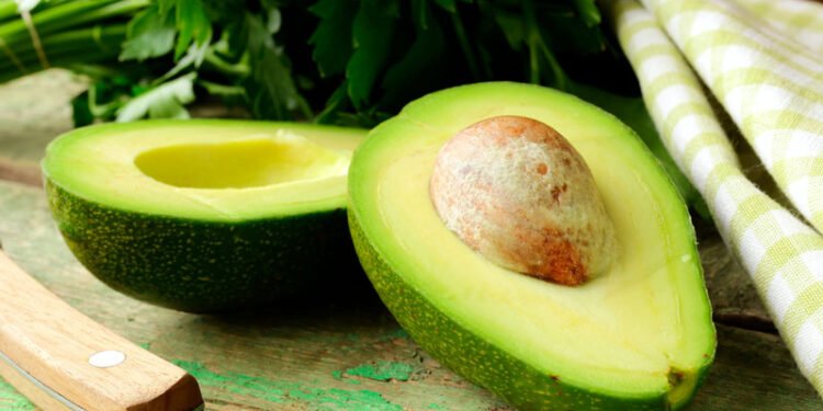 Abacate: Um Superalimento Completo
