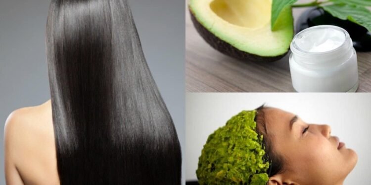 Os Benefícios do Abacate para a Pele e os Cabelos