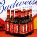 Budweiser Te Leva ao Mundial de Clubes 2025: Viva o Sonho da Final nos EUA!