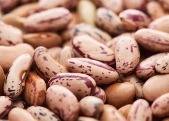 Alimentos Simples, Saúde Forte: Leguminosas Aumentam a Longevidade e Benefícios Nutricionais