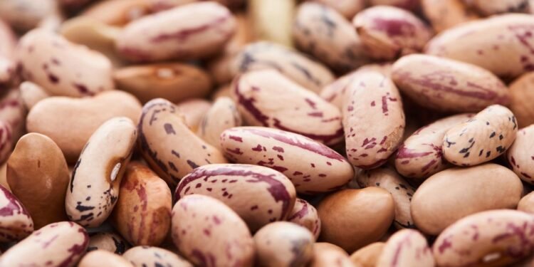 Alimentos Simples, Saúde Forte: Leguminosas Aumentam a Longevidade e Benefícios Nutricionais