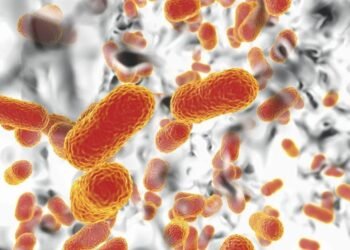 Micro-organismo Resistente Se Espalha na Europa: Alerta Global Disparado