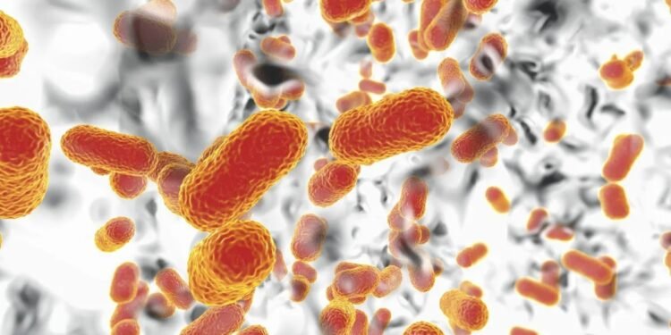 Micro-organismo Resistente Se Espalha na Europa: Alerta Global Disparado