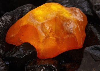 Âmbar Equatoriano Revela Segredos