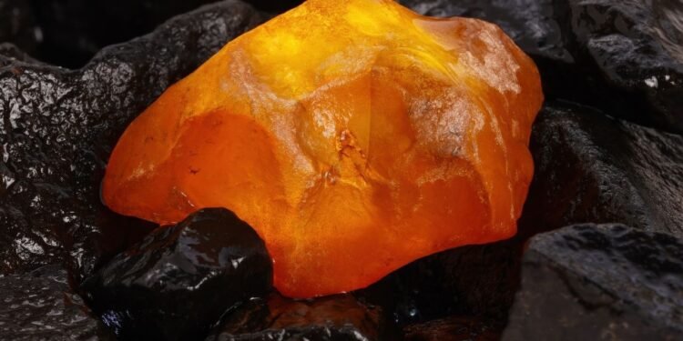 Âmbar Equatoriano Revela Segredos