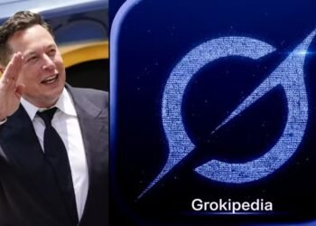 Elon Musk Desafia Gigante Wikipedia