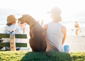 Longevidade Canina: Guia Essencial para Cuidar do Seu Cão Idoso