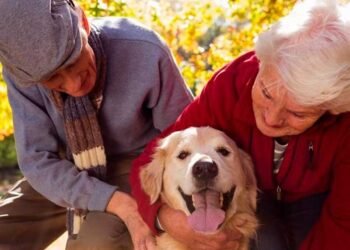 Pets e Idosos: Companhia Animal Melhora a Saúde na Terceira Idade