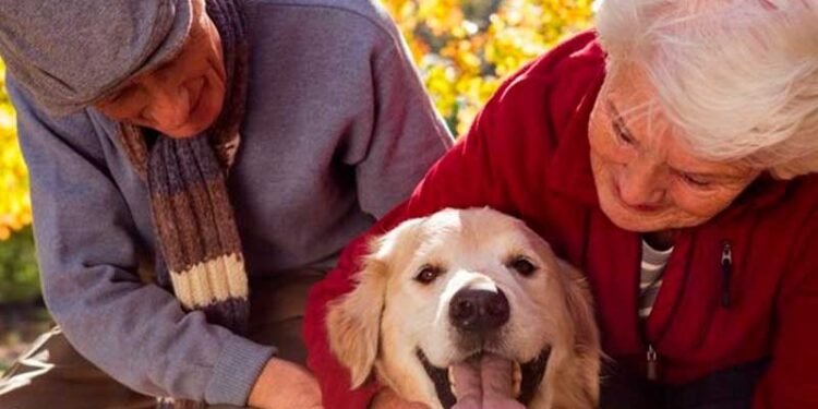Pets e Idosos: Companhia Animal Melhora a Saúde na Terceira Idade