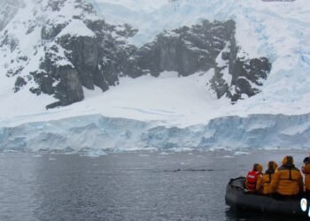 Ártico Secreto: Bactérias sob Gelo