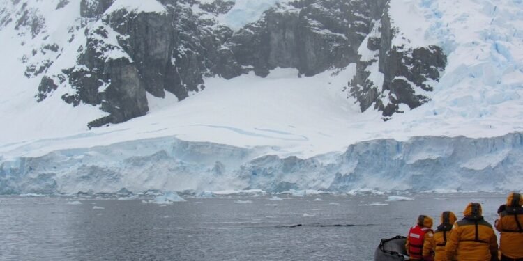 Ártico Secreto: Bactérias sob Gelo