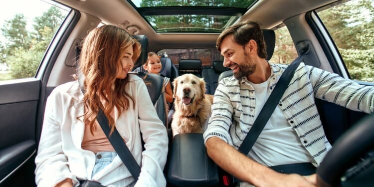 Aumenta o número de famílias que incluem os pets nos planos de viagem