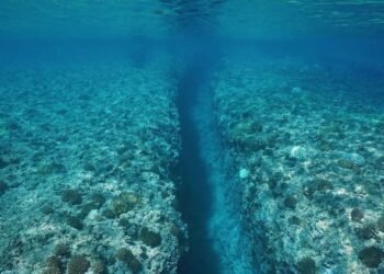 Placas Tectônicas Surpreendem Cientistas no Pacífico: Descoberta Inédita Revela Ruptura Gradual