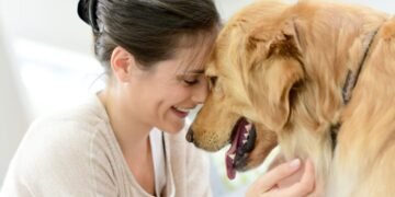 Mito ou Verdade: Cães Escolhem Seu Humano Favorito