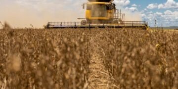 Dívidas Bilionárias: Gigantes do Agro Enfrentam Recuperação Judicial