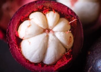 Mangostão: A "Rainha das Frutas" Desvenda Segredos para Saúde e Bem-Estar
