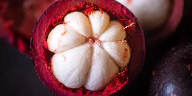 Mangostão: A "Rainha das Frutas" Desvenda Segredos para Saúde e Bem-Estar