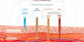 Radiação UV Extrema e Câncer de Pele: Brasil em Alerta Máximo!