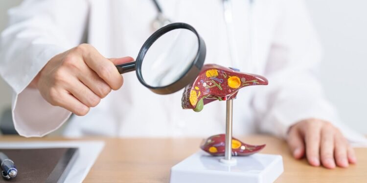 Jejum Intermitente e Gordura no Fígado: Uma Análise Detalhada