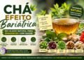 Chá Efeito Bariátrica: a bebida natural que conquistou quem busca emagrecer com equilíbrio