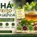 Chá Efeito Bariátrica: a bebida natural que conquistou quem busca emagrecer com equilíbrio